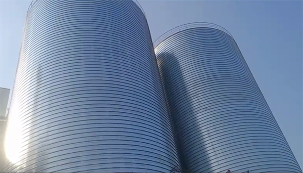 哈密2座混凝土高架卷板仓